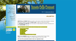 Desktop Screenshot of inmatecallsconnect.com